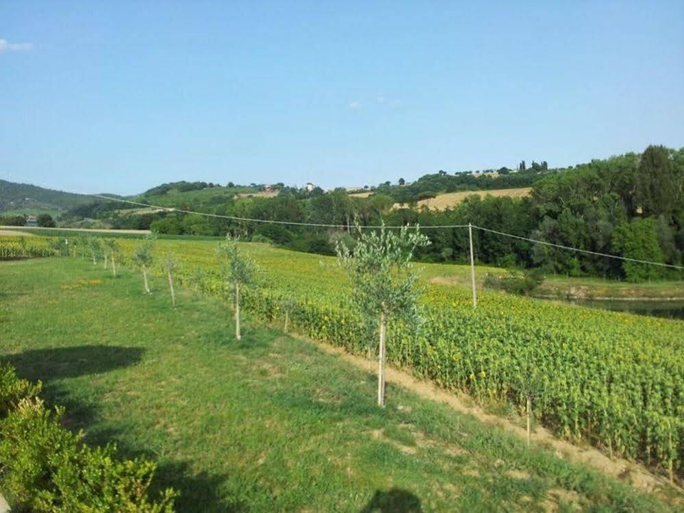 Agriturismo La Collina Del Sole Coltavolino Zewnętrze zdjęcie
